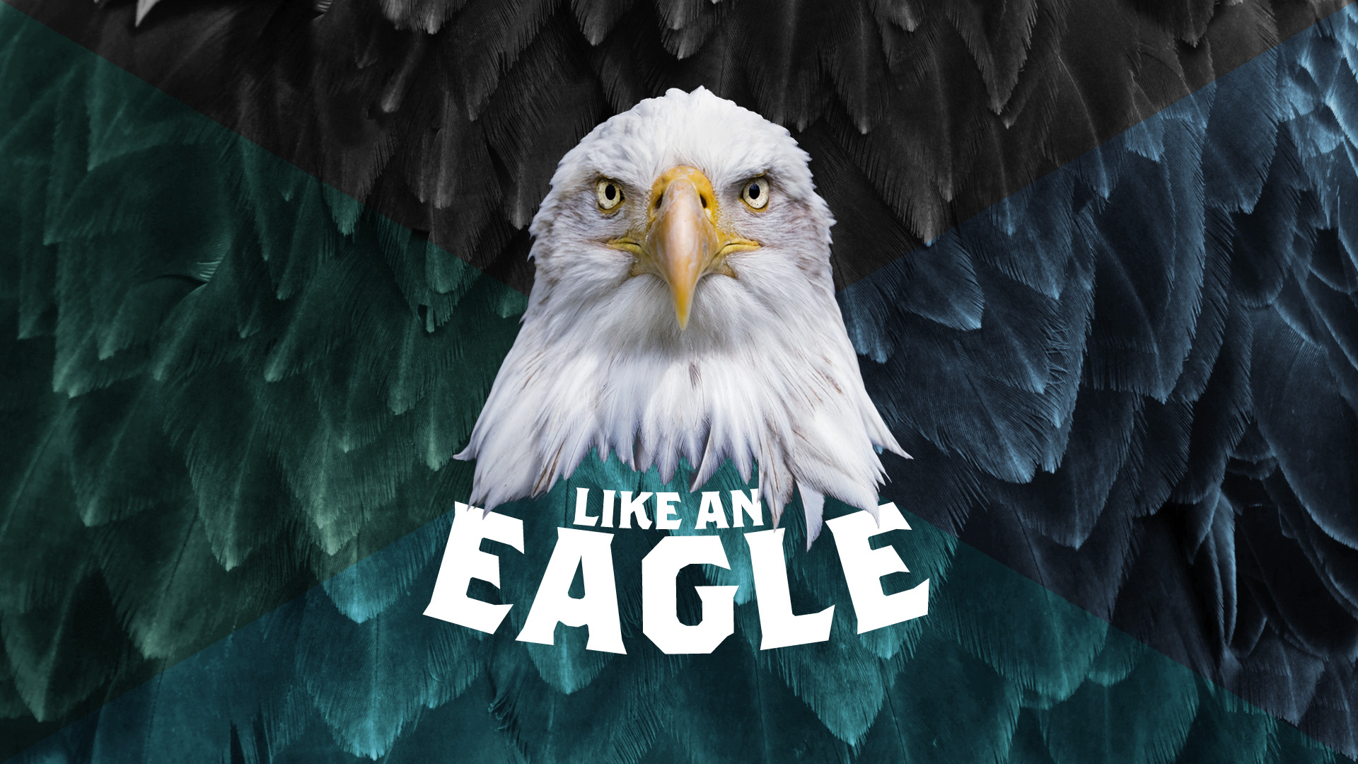Like an Eagle - Lift up your spirit