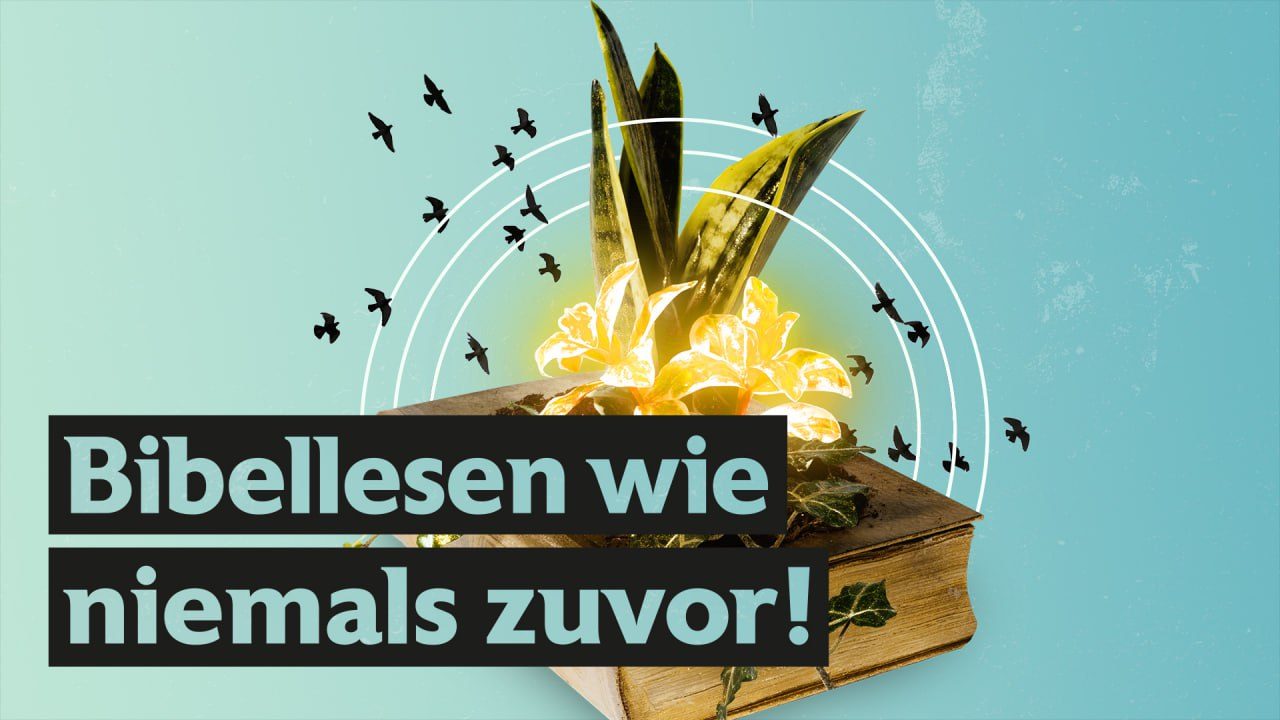 Wie bringt die Bibel mein Leben zum aufblühen